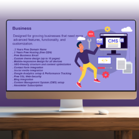 professional website