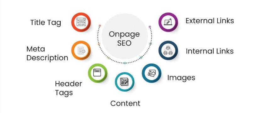 starter seo plan