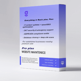 Website Maintenance Pro Plan